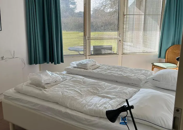 Libra 19